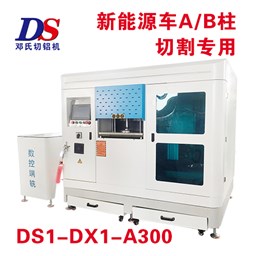 A/B柱数控切割端铣机DS1-DX1-A300